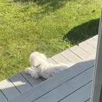 Audrey Barber - Facebook