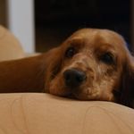 audrey barton - @audreybarton39 - Instagram