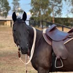 Audrey Barton - Campdrafting - @ab_campdrafting - Instagram