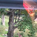 Audrey Bernstein - @membrane_fusion - Instagram