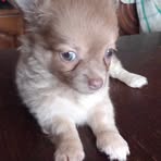 Audrey Berriot - Facebook