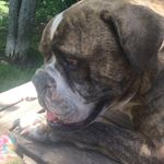Loneliest Person Ever - @audreyberriault - Instagram