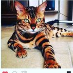 Audrey berrier - @audreyberrier - Instagram