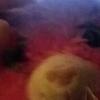 audreybertini373 - @audreybertini373 - TikTok