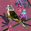 audreybest7 - @audreybest7 - TikTok