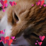 Audrey Bethea - @audrey.bethea.31 - Instagram