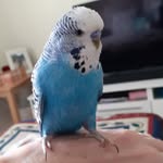 Audrey Bevan - @aud.bevan66 - Instagram