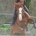 Audrey Bevan - Facebook