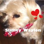 Audrey Beyer - @slimey_waylon - Instagram
