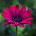 Audrey-ann Bilodeau - Facebook