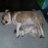 audreybishop946 - @audreybishop946 - TikTok