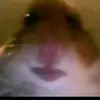 Mata - @audrey_blue_ - TikTok