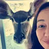 Audrey Blumenthal - @audrey.blum89 - TikTok