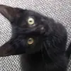 Audrey - @audreyboboo - TikTok