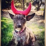 Audrey Bones - @audrey_bones - Instagram