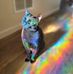 Audrey Boness - Facebook