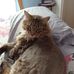 Audrey Burnell - Facebook
