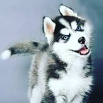 Audrey Boone - @audreyboone5 - Instagram