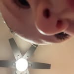 Audrey Shapiro - @audreys_boring_life - Instagram
