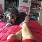 Audrey bowen - @hudsonlovestella - Instagram
