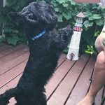 Audrey Bryant - @audrey.bryant.33671 - Instagram