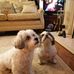 Audrey Cahill - Facebook