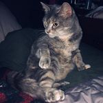 Audrey - @audrey_cappss - Instagram