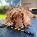 Audrey Chalmers - @audbookbod - Instagram