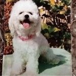 Audrey Chambers - @audrey.chambers.125 - Instagram