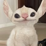Anindita Adri 😾 - @___audrey_chan____ - Instagram