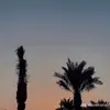 audrey - @.audreychan0 - TikTok
