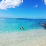 Audrey_Coyote - @audrey_coyote - Instagram