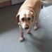 Audrey Crabtree - Facebook