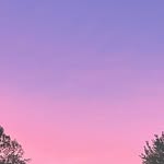 Audrey :) - @audrey.crowl - Instagram