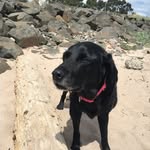 Audrey Crowe - @audrey.crowe.5 - Instagram