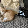 audreycrowder3 - @audrey.crowder5 - TikTok