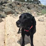 Audrey Crowe - @audrey.crowe.5 - Instagram