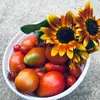audreycrowell637 - @happyhippiehomestead920 - TikTok