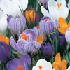 Audrey Culver137 - @rona5nl44038 - TikTok