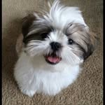 Audrey_daily - @4udrey_daily - Instagram