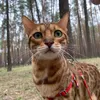 Одри - @audreydailycontent - TikTok