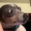 Audrey - @audrey_g_danielson - TikTok