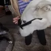 audreydas825 - @audreydas825 - TikTok