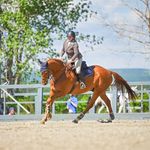 Audrey Davidson - @audreydavidson.eq - Instagram