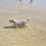 Audrey Dee - @bestsamson110 - Instagram