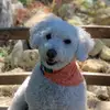 Audrey Deering - @audrey.deering5 - TikTok