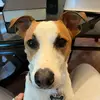 audrey.delaney146 - @audrey.delaney146 - TikTok