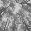 audreydelayla - @the.delayla.audrey - TikTok