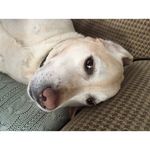 Audrey Barrett Dickerson - @audreydickerson27 - Instagram