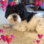 Jimmy N Audrey Dickerson - @jimmyndickerson - Instagram